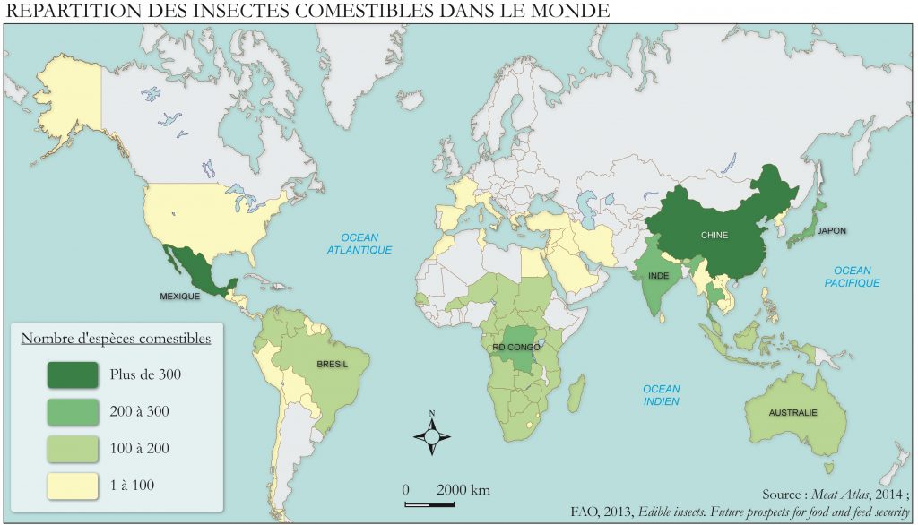 Carte inédite, à paraître dans l'Atlas © (Réalisation Pierre Raffard)