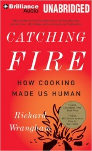 fire
